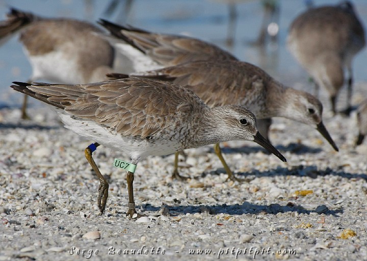2009-01-04 10-48-39__MG_9630.JPG